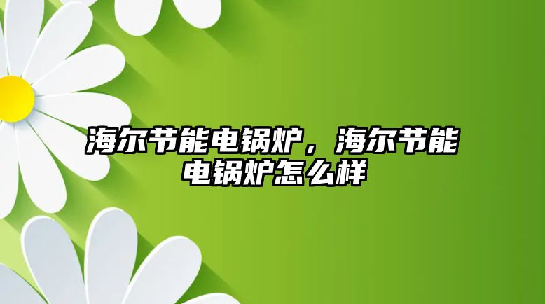 海爾節(jié)能電鍋爐，海爾節(jié)能電鍋爐怎么樣