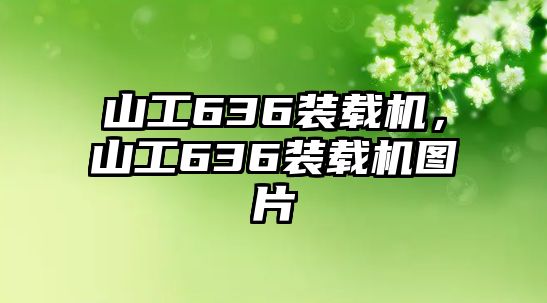 山工636裝載機(jī)，山工636裝載機(jī)圖片