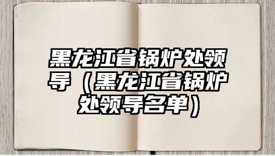 黑龍江省鍋爐處領(lǐng)導(dǎo)（黑龍江省鍋爐處領(lǐng)導(dǎo)名單）