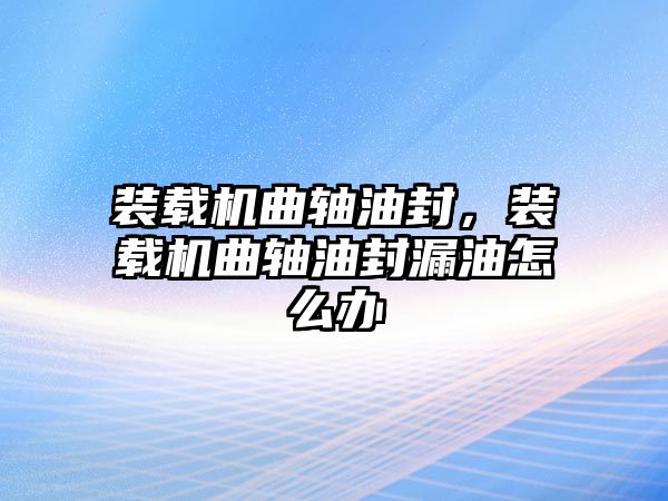 裝載機曲軸油封，裝載機曲軸油封漏油怎么辦