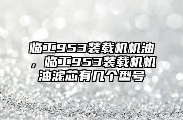 臨工953裝載機(jī)機(jī)油，臨工953裝載機(jī)機(jī)油濾芯有幾個(gè)型號(hào)