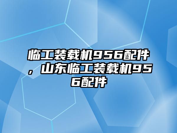 臨工裝載機(jī)956配件，山東臨工裝載機(jī)956配件