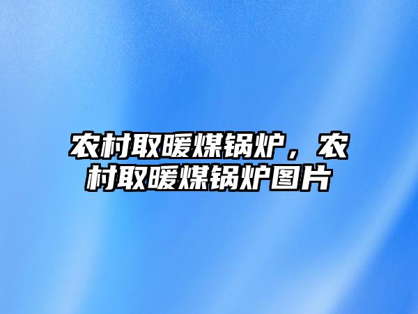 農(nóng)村取暖煤鍋爐，農(nóng)村取暖煤鍋爐圖片