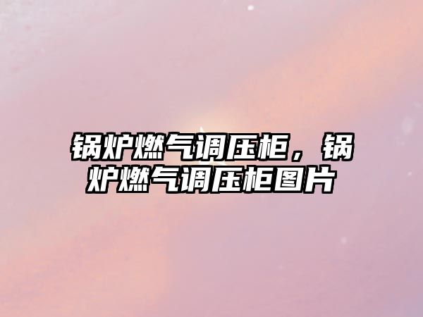 鍋爐燃?xì)庹{(diào)壓柜，鍋爐燃?xì)庹{(diào)壓柜圖片