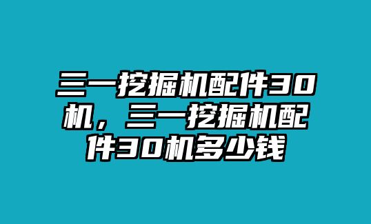 三一挖掘機配件30機，三一挖掘機配件30機多少錢