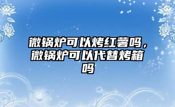 微鍋爐可以烤紅薯嗎，微鍋爐可以代替烤箱嗎