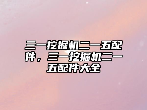 三一挖掘機(jī)二一五配件，三一挖掘機(jī)二一五配件大全