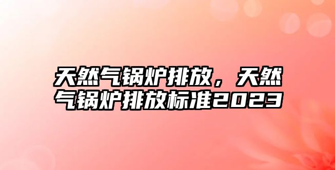 天然氣鍋爐排放，天然氣鍋爐排放標(biāo)準(zhǔn)2023