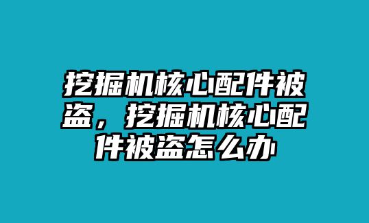 挖掘機(jī)核心配件被盜，挖掘機(jī)核心配件被盜怎么辦