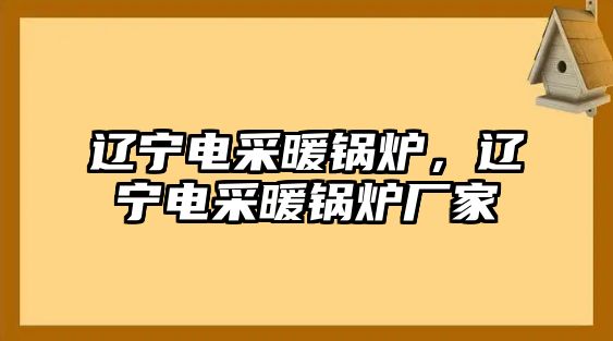 遼寧電采暖鍋爐，遼寧電采暖鍋爐廠家