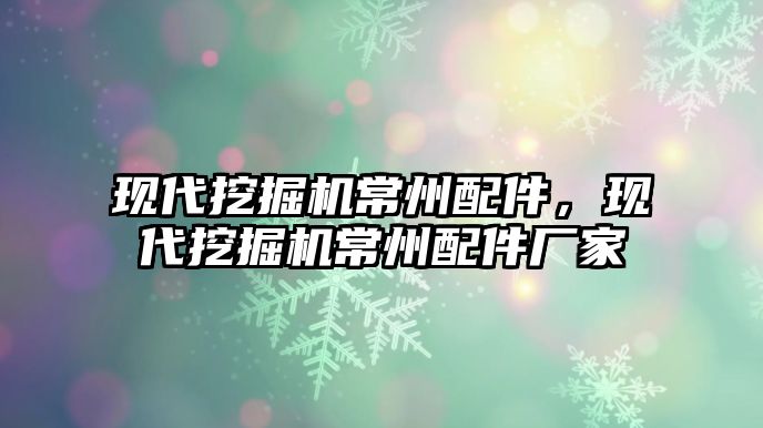 現(xiàn)代挖掘機常州配件，現(xiàn)代挖掘機常州配件廠家