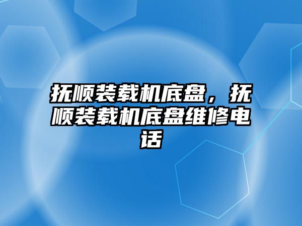 撫順裝載機底盤，撫順裝載機底盤維修電話