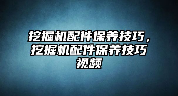 挖掘機配件保養(yǎng)技巧，挖掘機配件保養(yǎng)技巧視頻