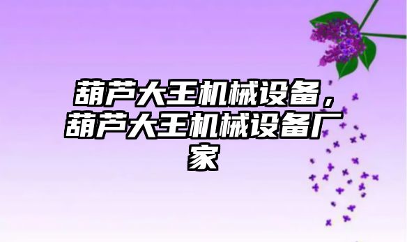 葫蘆大王機械設(shè)備，葫蘆大王機械設(shè)備廠家