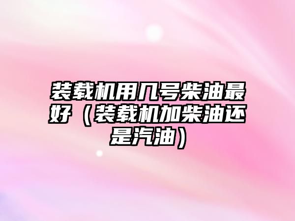 裝載機用幾號柴油最好（裝載機加柴油還是汽油）