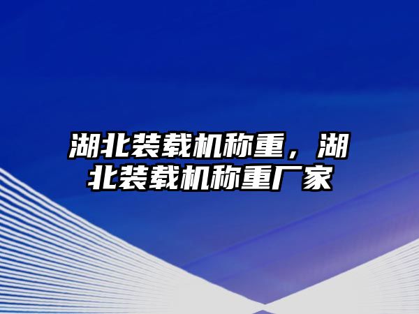 湖北裝載機(jī)稱重，湖北裝載機(jī)稱重廠家