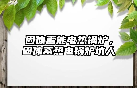 固體蓄能電熱鍋爐，固體蓄熱電鍋爐坑人