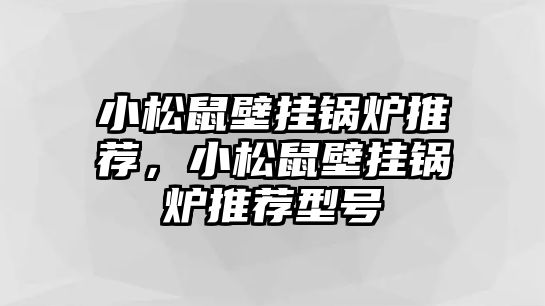 小松鼠壁掛鍋爐推薦，小松鼠壁掛鍋爐推薦型號(hào)