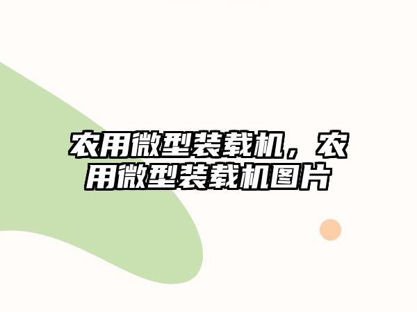 農(nóng)用微型裝載機(jī)，農(nóng)用微型裝載機(jī)圖片