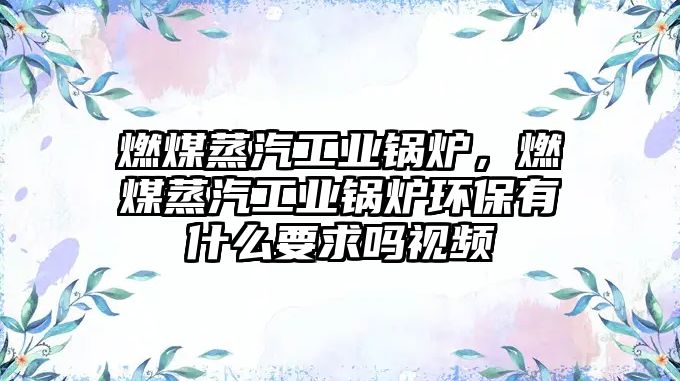 燃煤蒸汽工業(yè)鍋爐，燃煤蒸汽工業(yè)鍋爐環(huán)保有什么要求嗎視頻