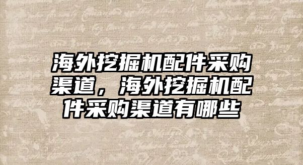 海外挖掘機配件采購渠道，海外挖掘機配件采購渠道有哪些