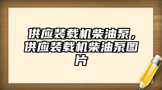 供應裝載機柴油泵，供應裝載機柴油泵圖片