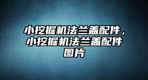 小挖掘機法蘭蓋配件，小挖掘機法蘭蓋配件圖片