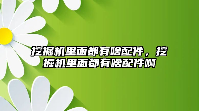 挖掘機(jī)里面都有啥配件，挖掘機(jī)里面都有啥配件啊