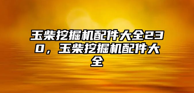 玉柴挖掘機(jī)配件大全230，玉柴挖掘機(jī)配件大全