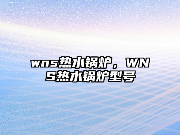 wns熱水鍋爐，WNS熱水鍋爐型號