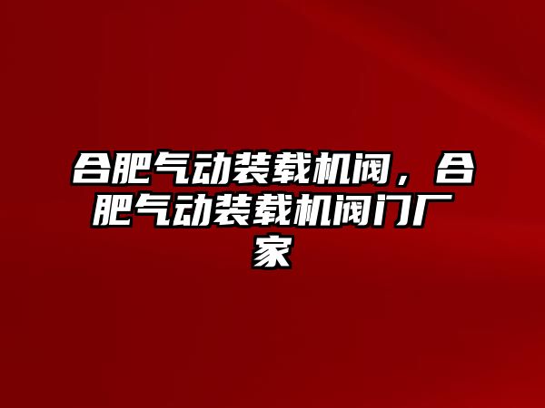 合肥氣動裝載機閥，合肥氣動裝載機閥門廠家