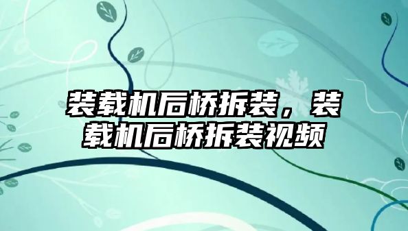 裝載機后橋拆裝，裝載機后橋拆裝視頻