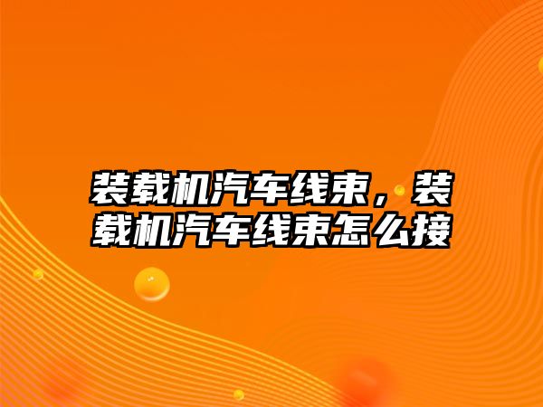 裝載機汽車線束，裝載機汽車線束怎么接