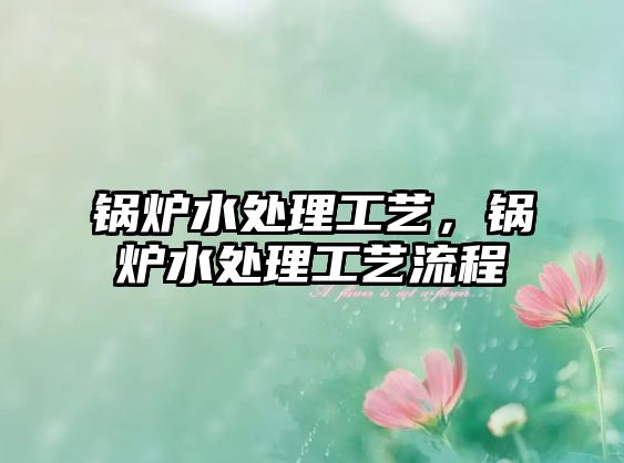 鍋爐水處理工藝，鍋爐水處理工藝流程