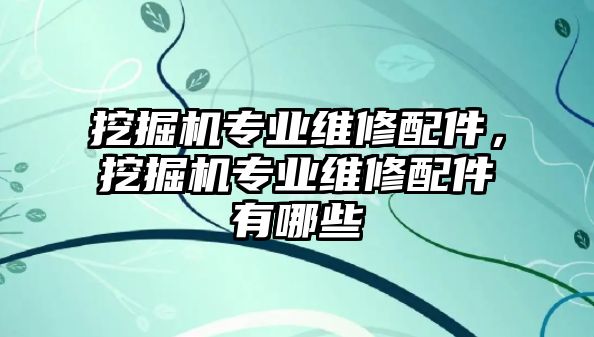 挖掘機專業(yè)維修配件，挖掘機專業(yè)維修配件有哪些