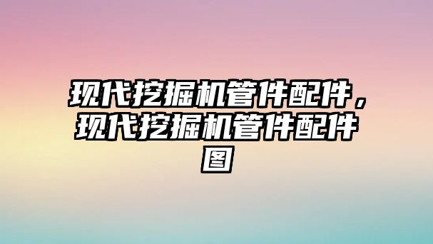 現(xiàn)代挖掘機管件配件，現(xiàn)代挖掘機管件配件圖