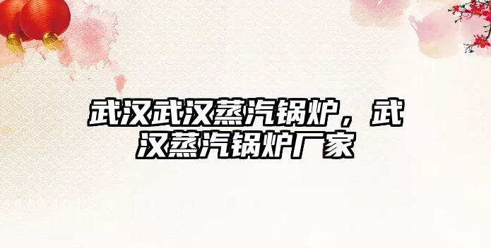 武漢武漢蒸汽鍋爐，武漢蒸汽鍋爐廠家