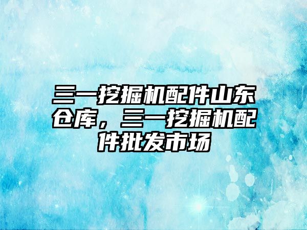 三一挖掘機配件山東倉庫，三一挖掘機配件批發(fā)市場