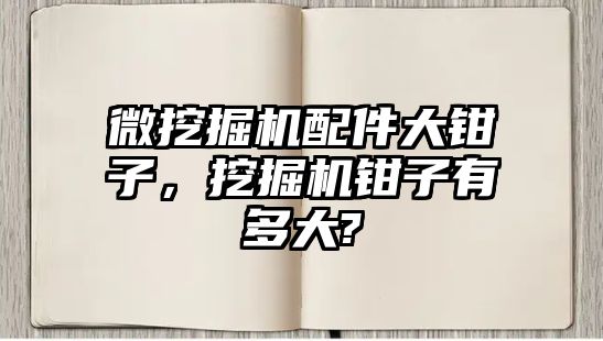 微挖掘機配件大鉗子，挖掘機鉗子有多大?