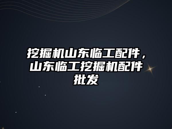 挖掘機山東臨工配件，山東臨工挖掘機配件批發(fā)