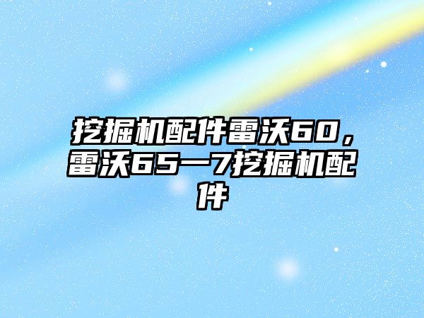 挖掘機配件雷沃60，雷沃65一7挖掘機配件