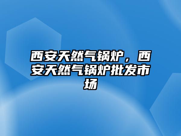 西安天然氣鍋爐，西安天然氣鍋爐批發(fā)市場