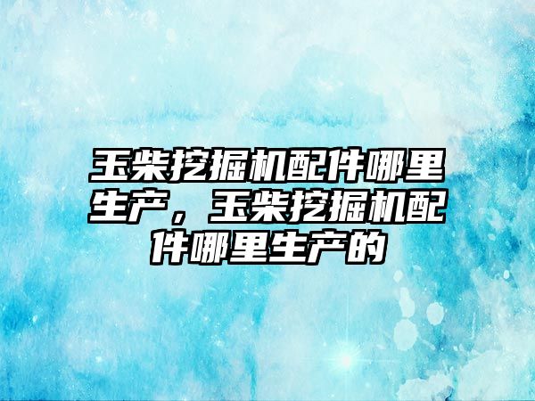 玉柴挖掘機配件哪里生產，玉柴挖掘機配件哪里生產的