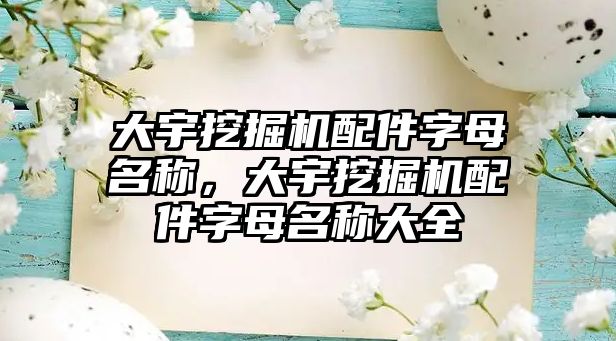 大宇挖掘機配件字母名稱，大宇挖掘機配件字母名稱大全