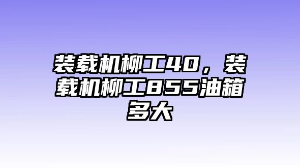 裝載機(jī)柳工40，裝載機(jī)柳工855油箱多大