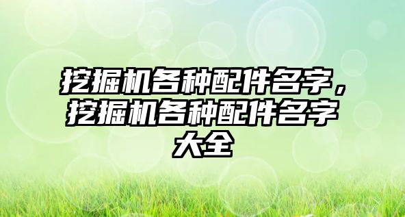 挖掘機各種配件名字，挖掘機各種配件名字大全