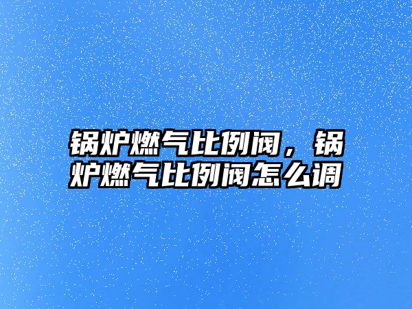 鍋爐燃氣比例閥，鍋爐燃氣比例閥怎么調