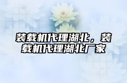 裝載機(jī)代理湖北，裝載機(jī)代理湖北廠家