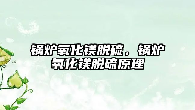 鍋爐氧化鎂脫硫，鍋爐氧化鎂脫硫原理