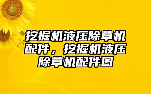 挖掘機液壓除草機配件，挖掘機液壓除草機配件圖